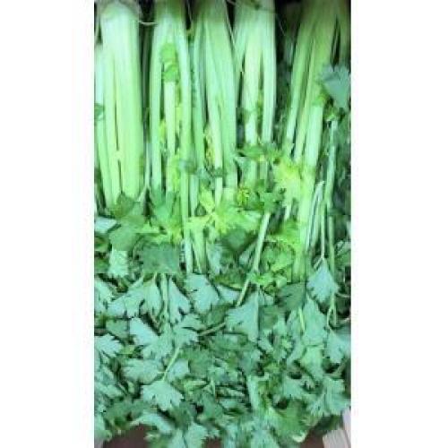 新鲜中国香芹菜 400g