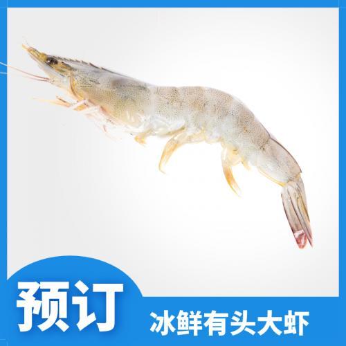 预订 冰鲜有头大虾约2kg 40/50  12月23日（周一）和24日（周二） 配送