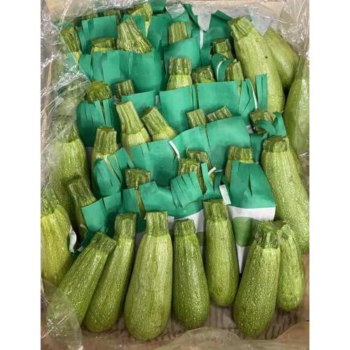 新鲜 西葫芦/翠玉瓜 1份约450g