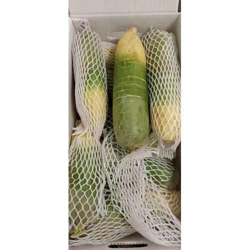 青萝卜 1箱/10kg