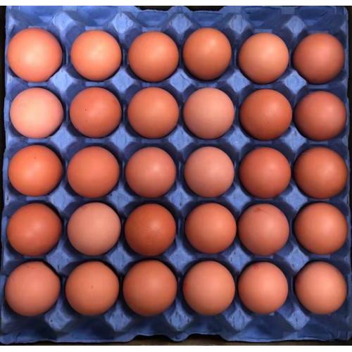 新鲜 散养鸡蛋 30个