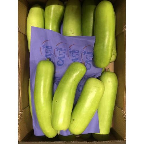新鲜 蒲瓜/葫芦瓜  1条约700g （£3.49/kg）请点选规格內的重量加入购物车