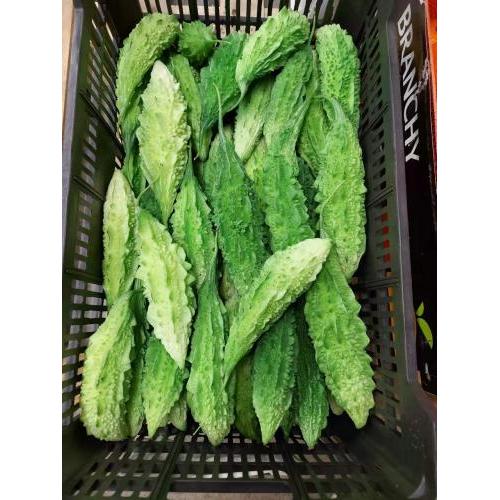 新鲜 印度苦瓜 (略苦) 1份约1kg