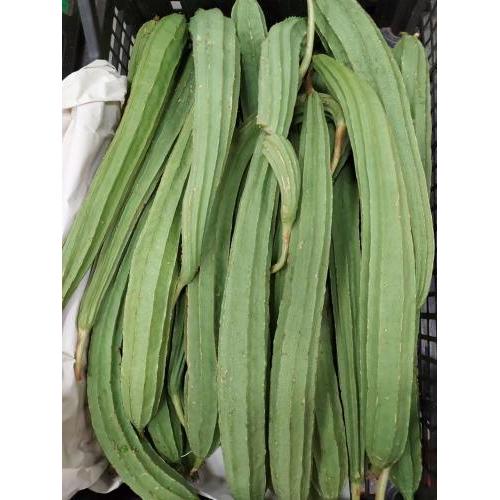 新鲜 丝瓜 1份约500g