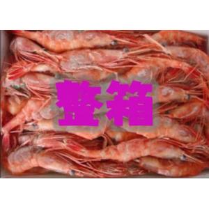 熟北极甜虾 整箱 (中) 90/120 5kg