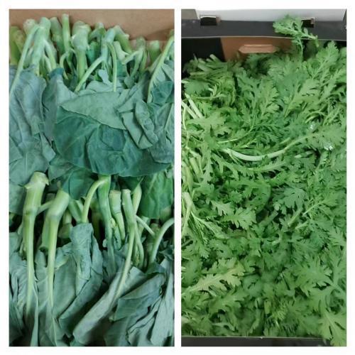 特惠新鲜蔬菜组合 本地芥兰500g+茼蒿 350g  (只限 24/10/2022-28/10/2022送货的订单）