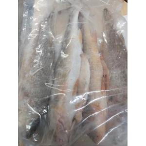 冷冻野生黄花鱼/百花鱼 1袋约2.5kg（约4条）