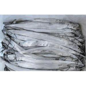 预订海鲜 冰鲜 带鱼1条 £ 18.5/KG （按实际重量计算价格）每周三和周六 配送
