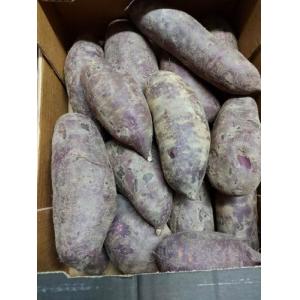 紫番薯 1箱约6kg