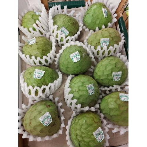 番荔枝/释迦果 1个  （中）