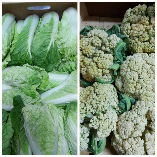 周日赠品 （购满£40.00，赠送一份）散花菜约500g+黄金娃娃菜约500g (只限 04/06/2023 配送的订单）