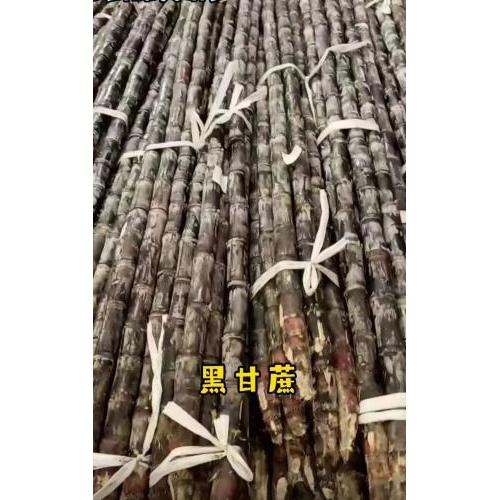 新鲜 黑皮甘蔗 一条/约2米