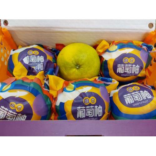新鲜 大个葡萄柚 1箱约3.5公斤 6个 