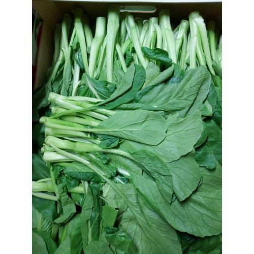 新鲜 菜心 500g