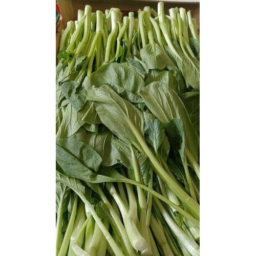 新鲜 菜心 1箱约7kg