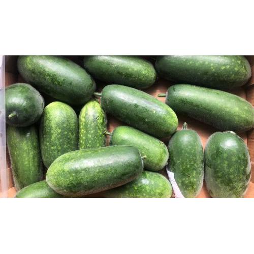 新鲜 节瓜 1份约2kg