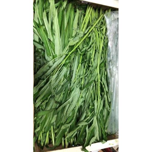新鲜 本地通菜 约1kg