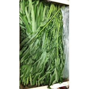 新鲜 本地通菜 1份约400g  ( 此产品不适合全英配送）