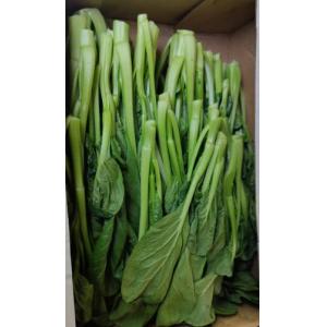 本地农场 新鲜 靓菜心 1箱约2kg