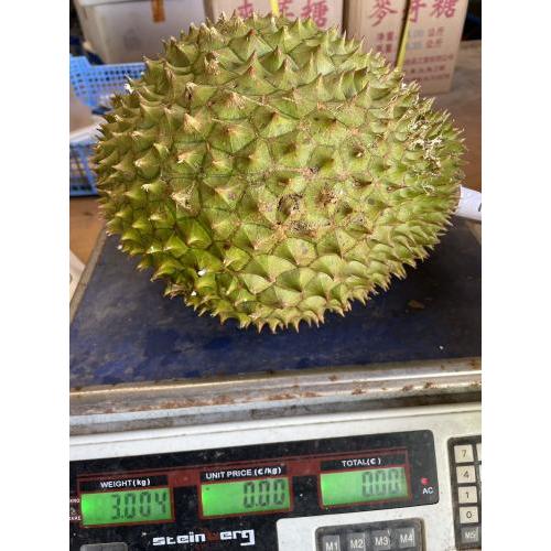 新鲜 榴莲 1个  3.0kg (£18.49/kg）