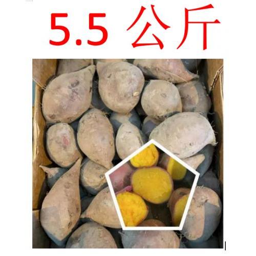 超甜 板栗番薯 1箱约5.5kg