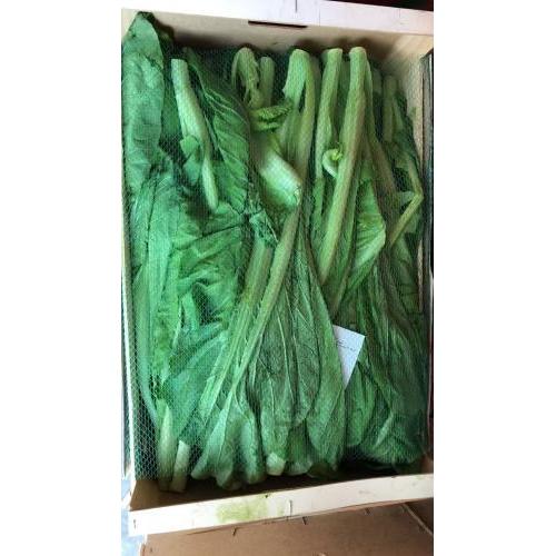 新鲜 长芥菜 约500g