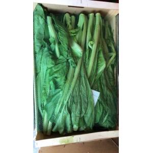 新鲜 长芥菜 约500g