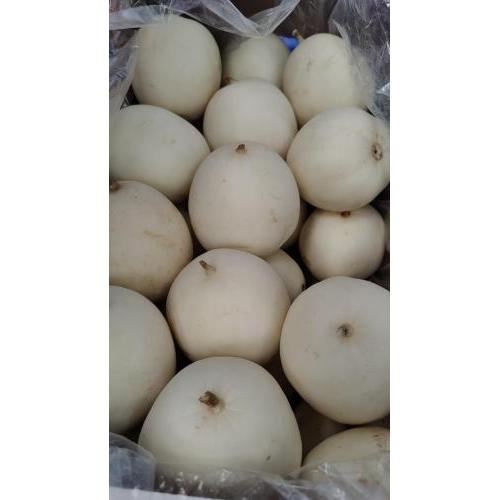 新鲜甜瓜/香瓜 1个 £5.79/kg