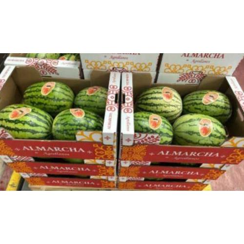 新鲜 西瓜 1个 约4KG
