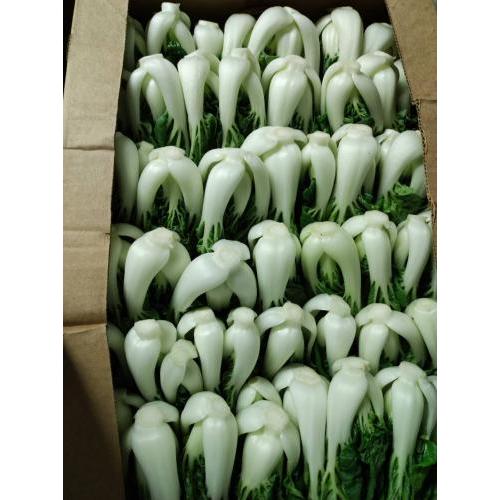 新鲜 本地小白菜 1kg（八五折优惠，购买2份或更多）