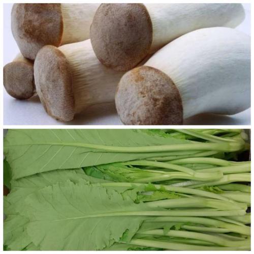 周六赠品 （购满£40.00，赠送一份）鸡腿菇约300g+长芥菜 约400g  (只限 03/05/2025 配送的订单）