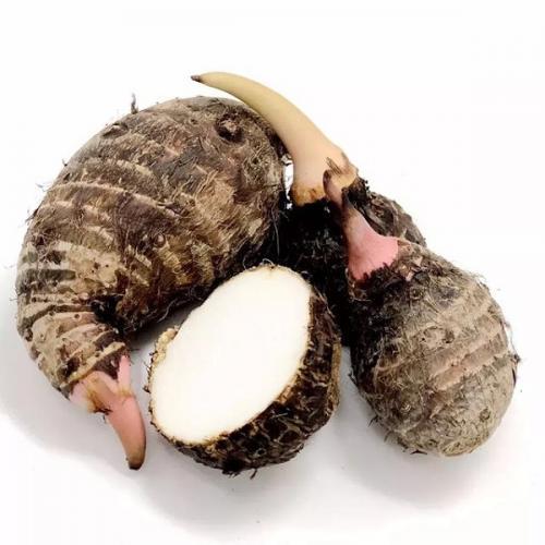中国红芽芋仔 600g