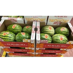 新鲜 西瓜 1个 约4KG