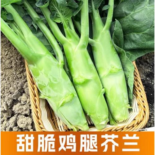 新鲜 鸡腿芥兰 1份约1kg (九折优惠，购买2份或更多）