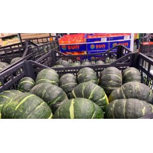 青皮南瓜 1箱约9kg