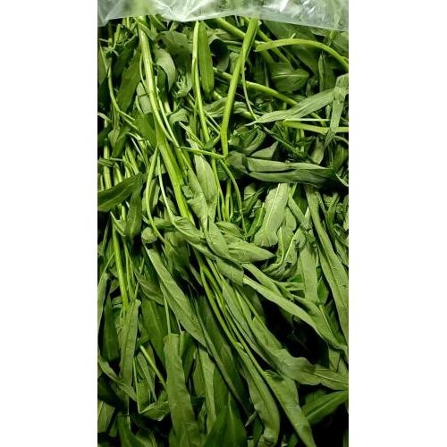 新鲜 本地通菜 约1kg