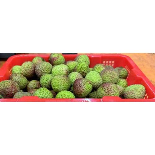 新鲜 甜荔枝 核小 约1kg