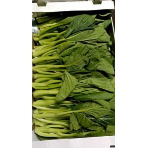 靓菜心 1箱约8kg