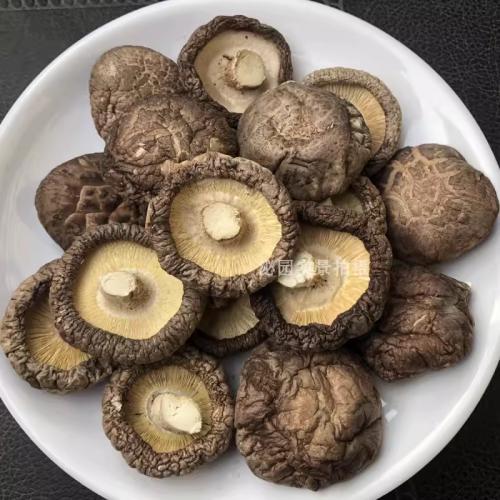 干香菇  1kg