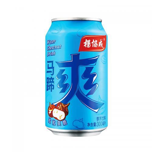 杨协成 马蹄爽饮料 300ml