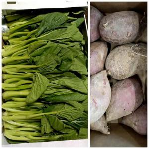 周六或周日赠品 （购满£40.00，赠送一份）靓菜心约500g+紫薯段约500g (只限 02/08/2025或03/08/2025 配送的订单）