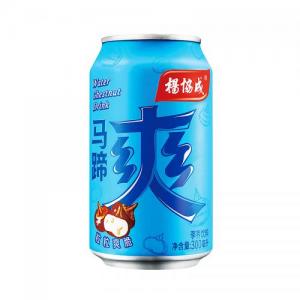 杨协成 马蹄爽饮料 300ml