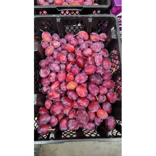 新鲜 超甜 红西梅 约500g