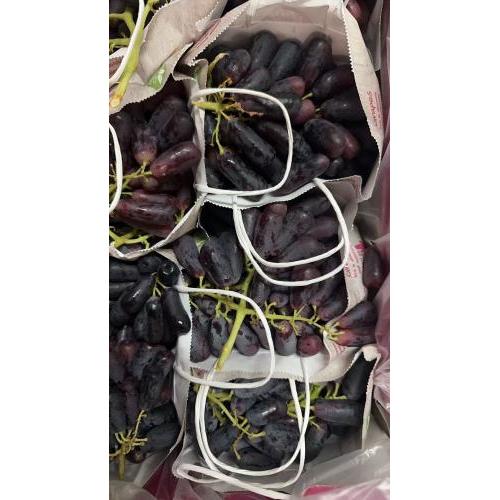 新鲜 拇指黑葡萄 1份约400g