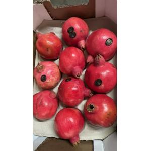 新鲜 大个石榴  1个
