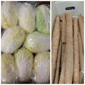 周末赠品 （购满£40.00，赠送一份）大白菜1棵+铁棍淮山约 300g  (只限 13/09/2025 或 14/09/2025配送的订单）