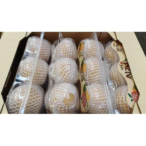 新鲜甜蜜韩国梨 3个
