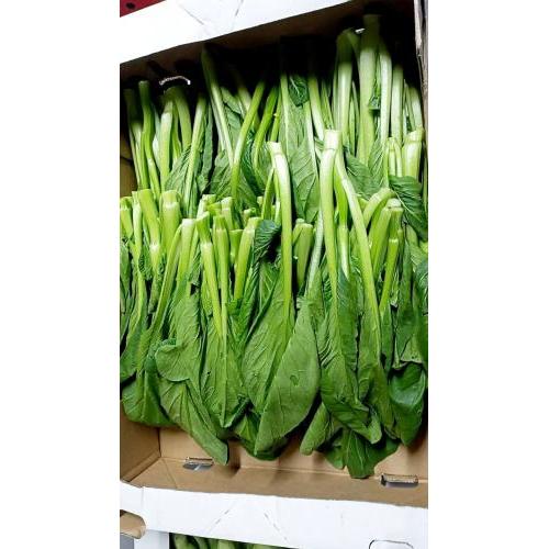 新鲜 本地农场菜心 400g