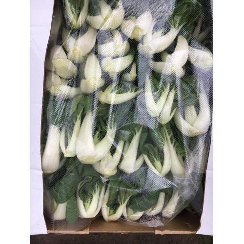 新鲜 本地靓白菜 1kg