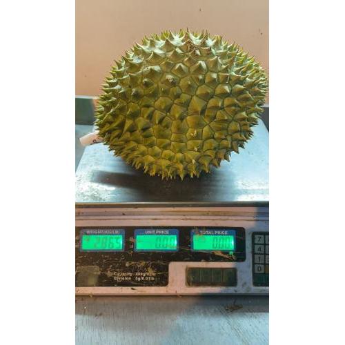 新鲜 榴莲 1个 2.865KG £16.99/kg 